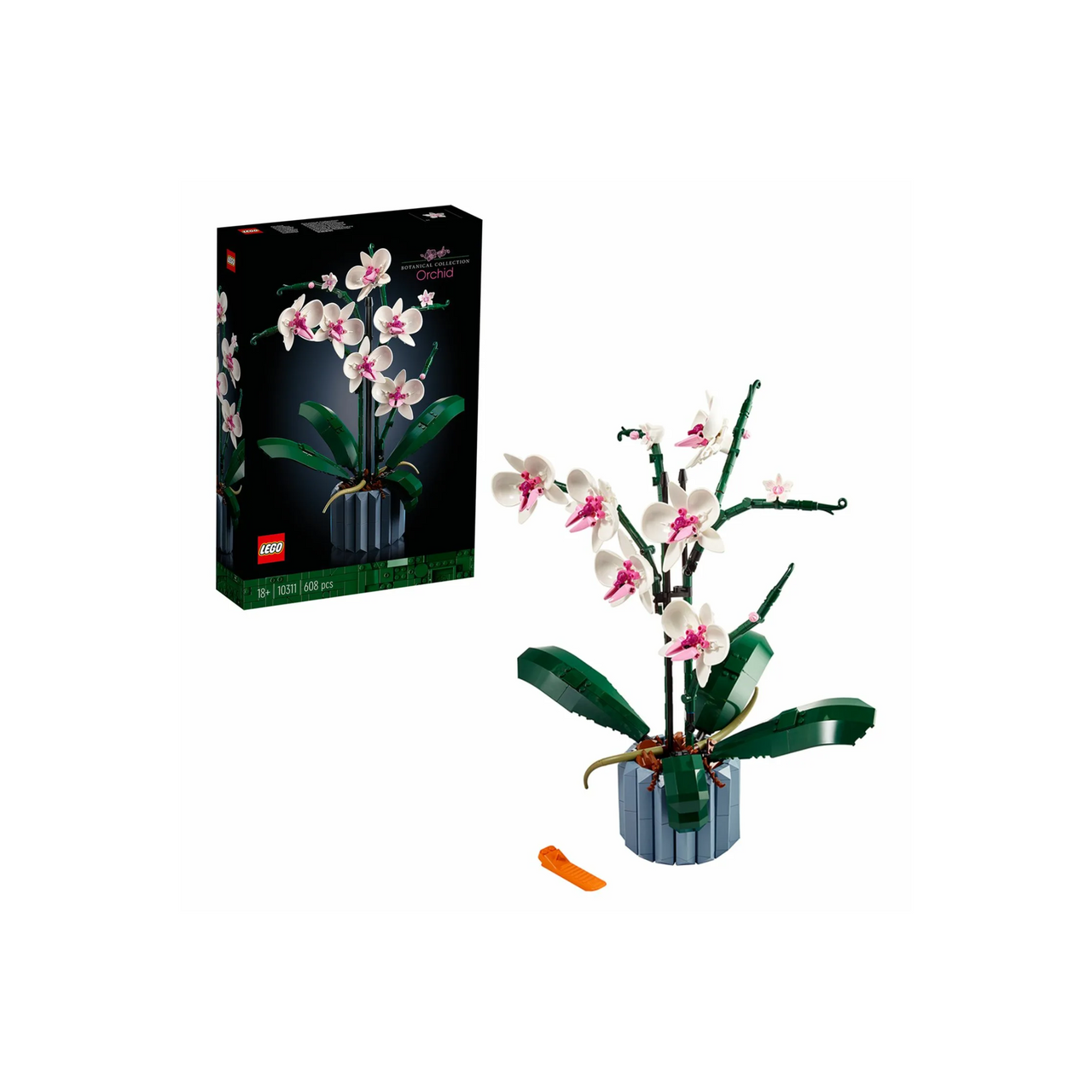 Mini Orchid
