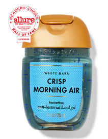 Увлажняющий антисептик для рук Bath & Body Works / Crisp Morning Air