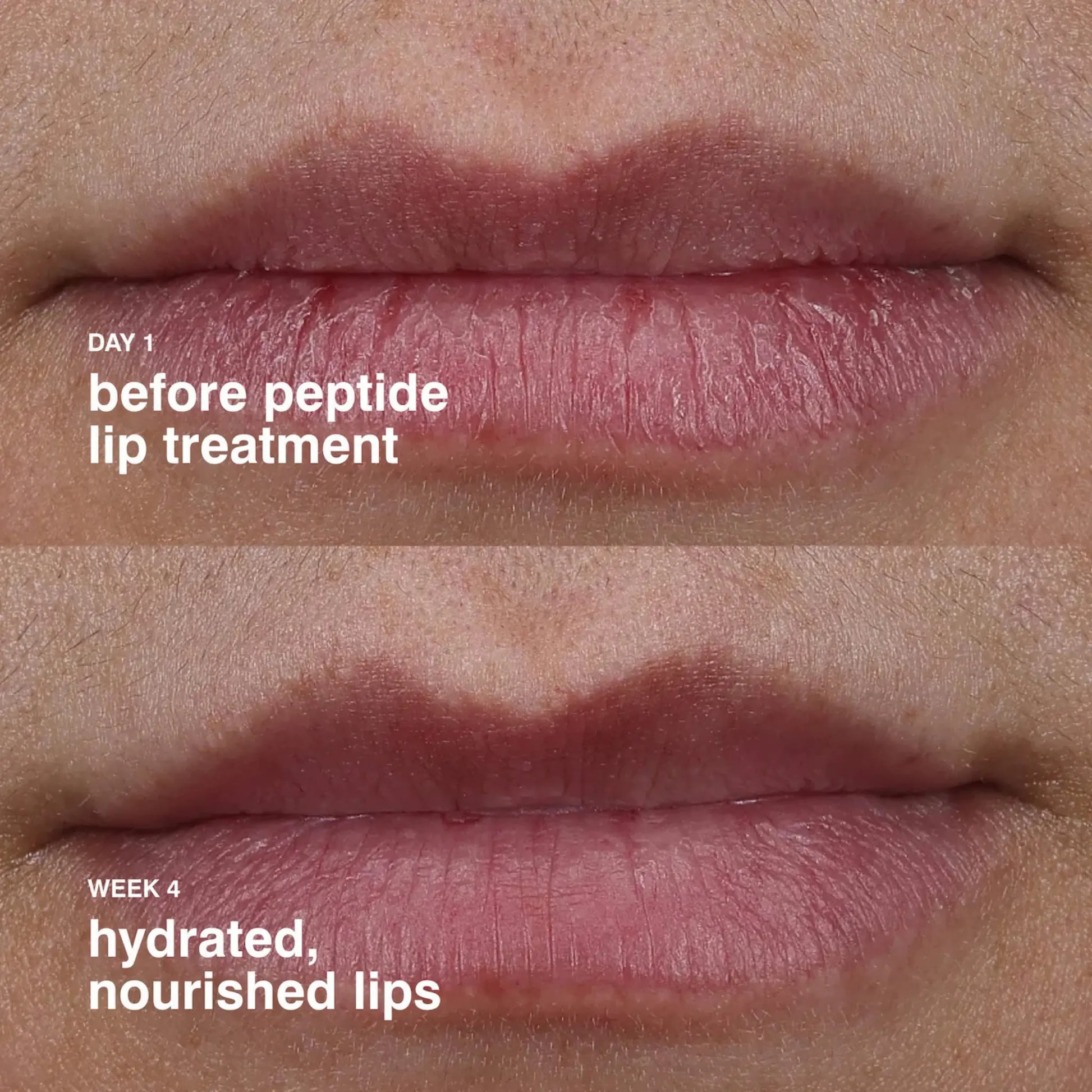 Бальзам для губ Rhode - The Peptide Lip Treatments / Unscented Findy Uzbekistan