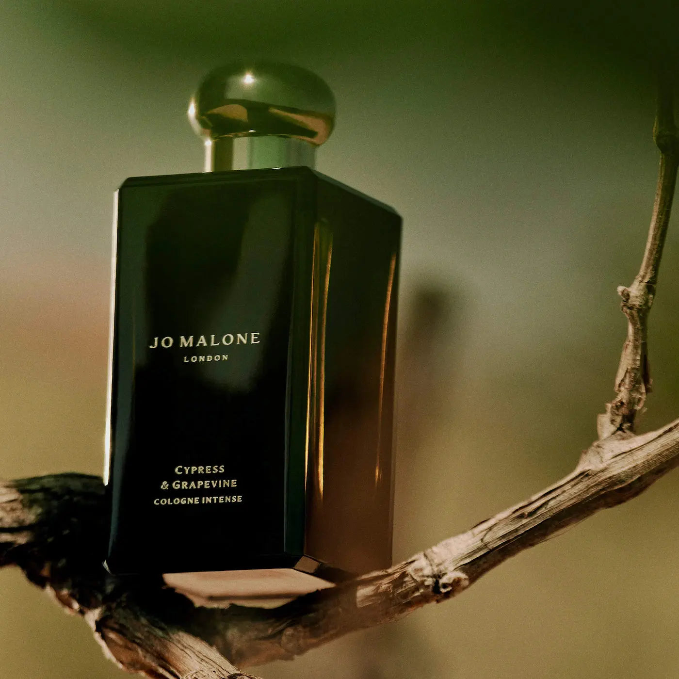 Набор одеколонов Jo Malone London - Wood Sage & Sea Salt & Cypress & Grapevine Mini Duo Findy Uzbekistan