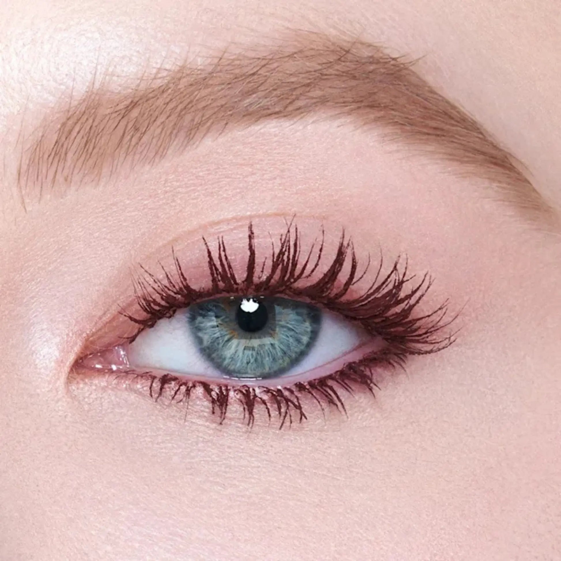 Тушь для ресниц Charlotte Tilbury — Pillow Talk Push Up Lashes! / Dream Pop 10 ml Findy Uzbekistan